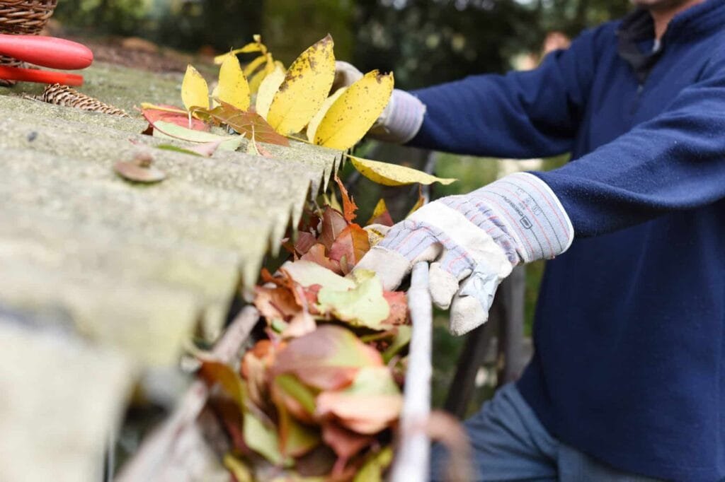 clog free gutters