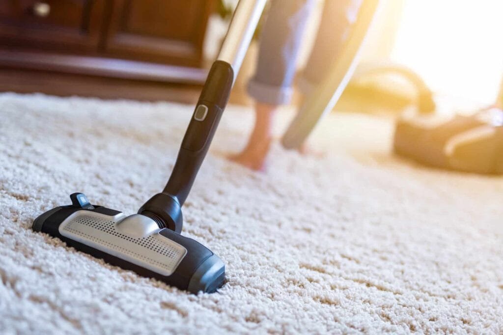 portable commercial carpet cleaner
