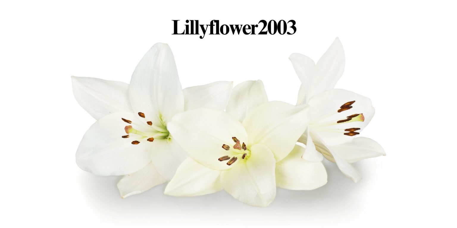 Lillyflower2003