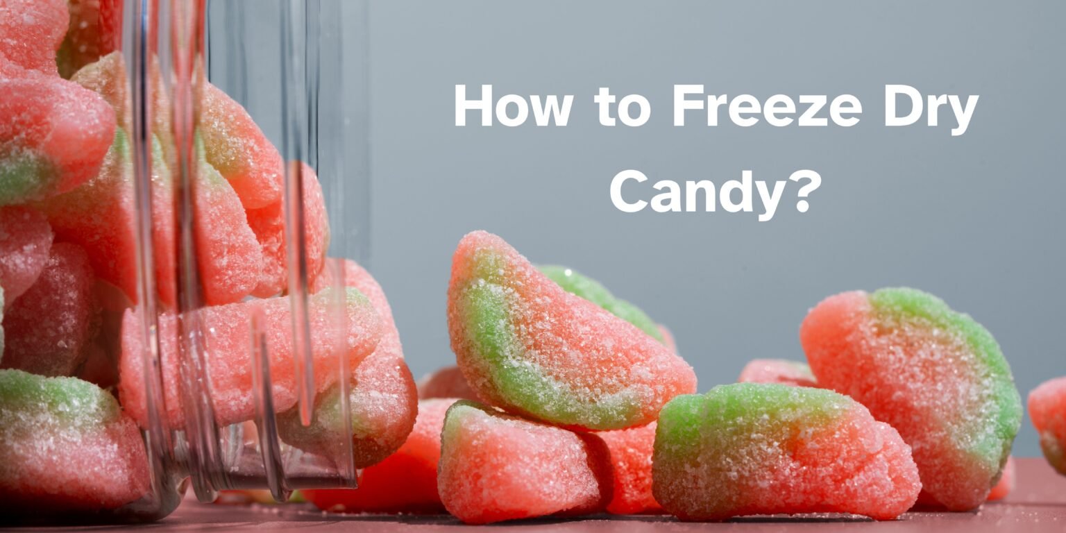 how to freeze dry candy