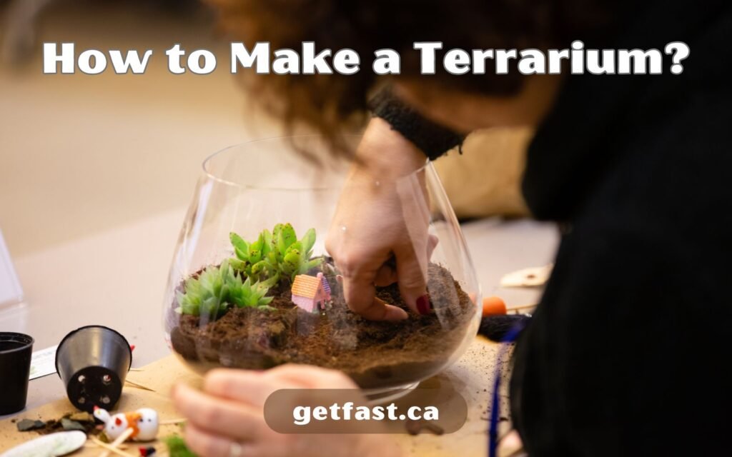 How to Make a Terrariums