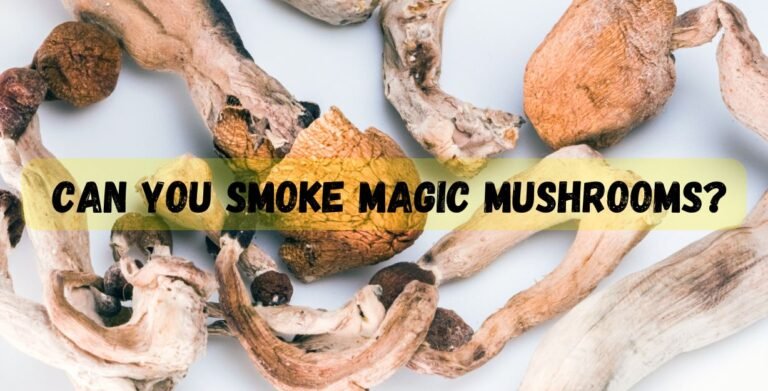 Can You Smoke Magic Mushrooms?