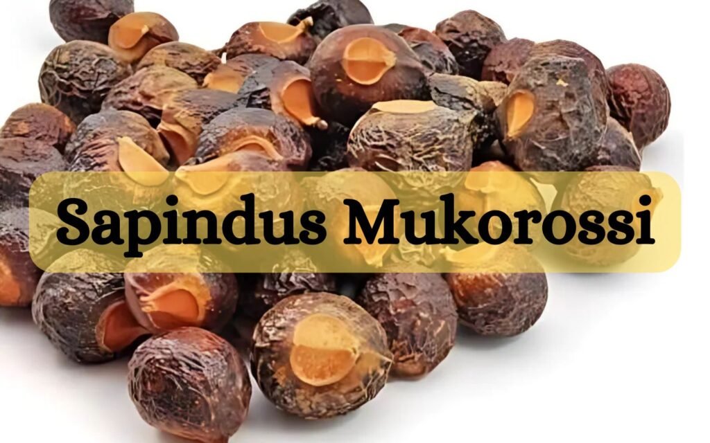 Sapindus Mukorossi