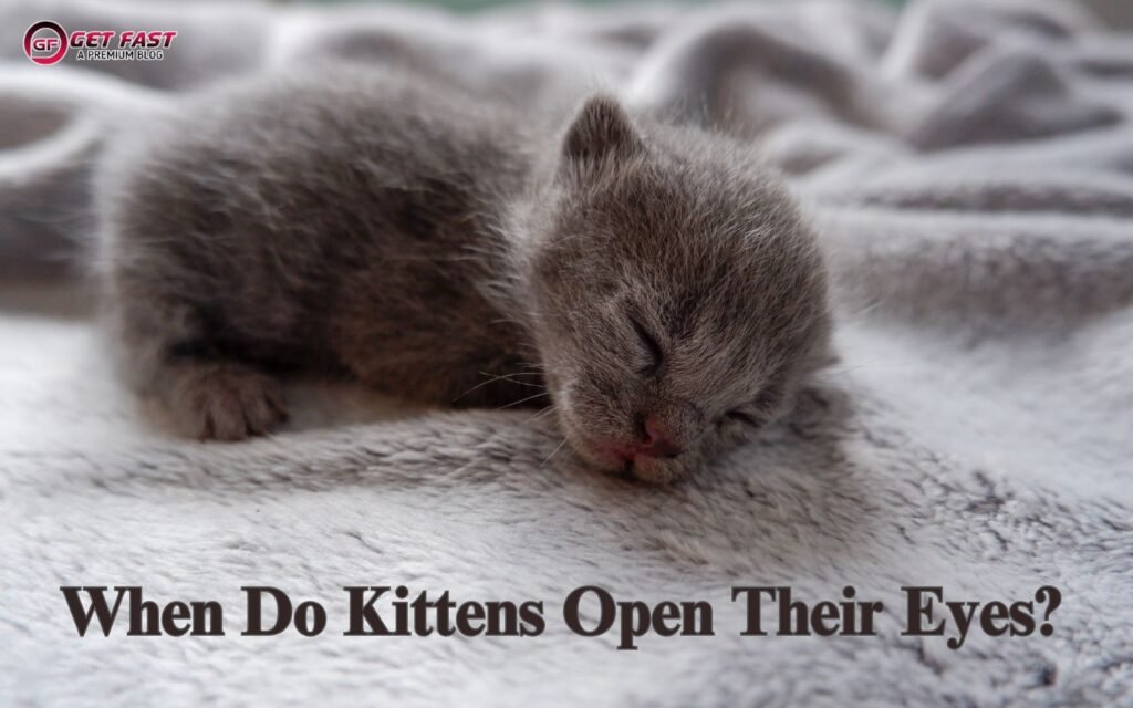 when do kittens open their eyes