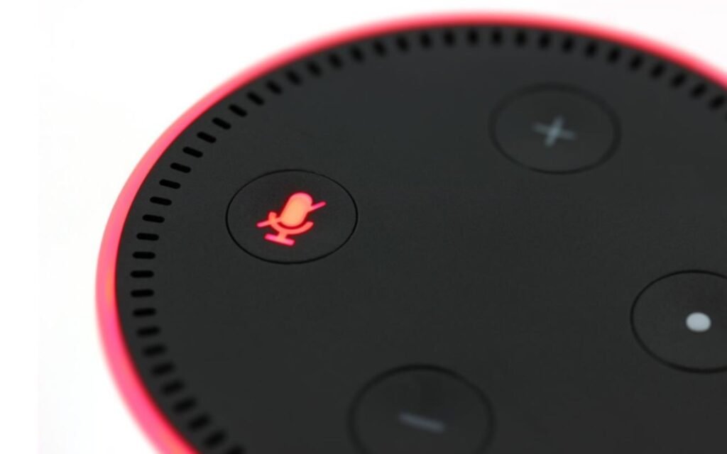 Voice Assistant